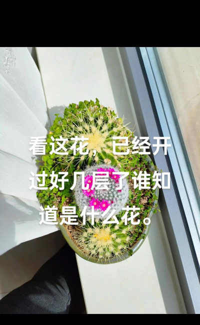 养花溪大厦，居住体验如何，周边配套怎样