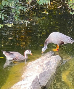 养花溪大厦，居住体验如何，周边配套怎样