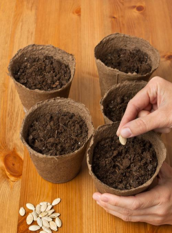 养花溪大厦，居住体验如何，周边配套怎样