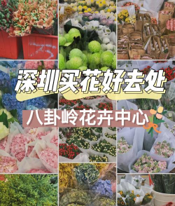 养花溪大厦，居住体验如何，周边配套怎样