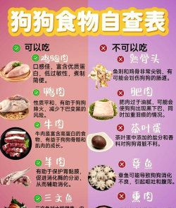 正规肉狗养殖场,如何规范经营,确保食品安全 正规肉狗养殖场,如何规范经营,确保食品安全