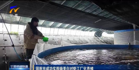 南美白对虾工厂化养殖,提升养殖效率,实现稳定收益 南美白对虾工厂化养殖,提升养殖效率,实现稳定收益