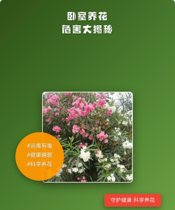 卧室养花的危害，影响睡眠质量，带来健康隐患