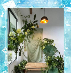 天门冬盆栽养殖方法，轻松上手，四季常绿