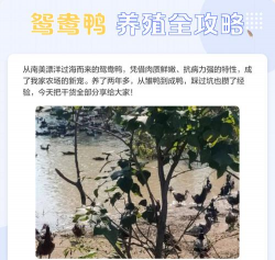 天门冬盆栽养殖方法，轻松上手，四季常绿