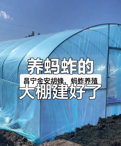 水蛭养殖网，搭建养殖平台，分享实用经验