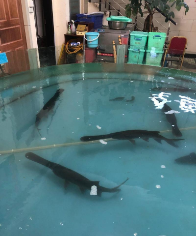 养花手册，新手入门指南，轻松养好花