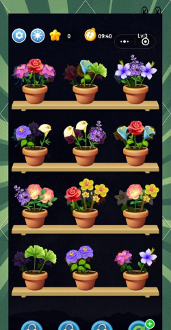 养花手册，新手入门指南，轻松养好花