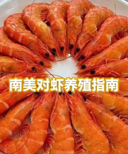 养花手册，新手入门指南，轻松养好花