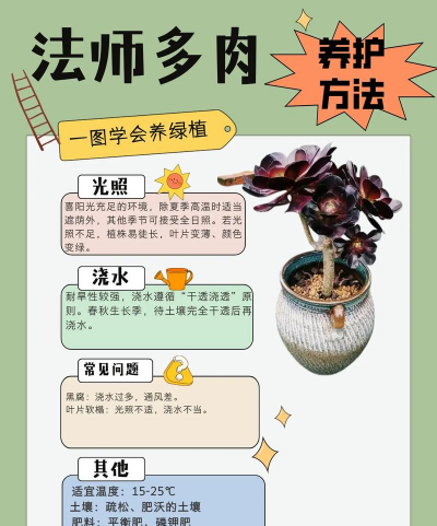 养花手册，新手入门指南，轻松养好花