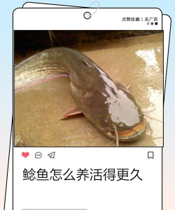 生物球养花，轻松又好看，新手也能玩