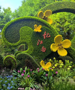 生物球养花，轻松又好看，新手也能玩