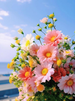 美丽的花卉，点亮生活空间，带来愉悦心情