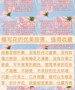 生物球养花，轻松又好看，新手也能玩