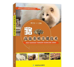 生物球养花，轻松又好看，新手也能玩