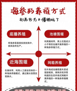 生物球养花，轻松又好看，新手也能玩