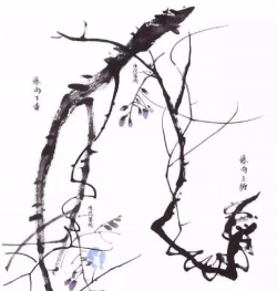 生物球养花，轻松又好看，新手也能玩