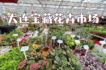 蚂蝗养殖利润和成本，投入产出分析，风险收益评估