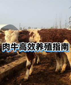 蚂蝗养殖利润和成本，投入产出分析，风险收益评估