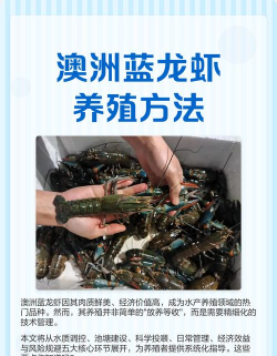 澳洲龙虾养殖条件，场地选择要点，水质管理方法