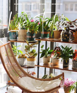 家庭花卉盆栽，轻松上手，美化家居环境