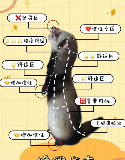 废油养花，家庭妙用，环保又省钱