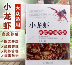 天门冬盆栽养殖方法，轻松上手，四季常绿