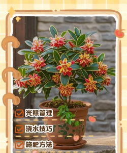 天门冬盆栽养殖方法，轻松上手，四季常绿