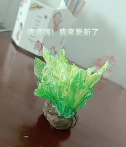 天门冬盆栽养殖方法，轻松上手，四季常绿