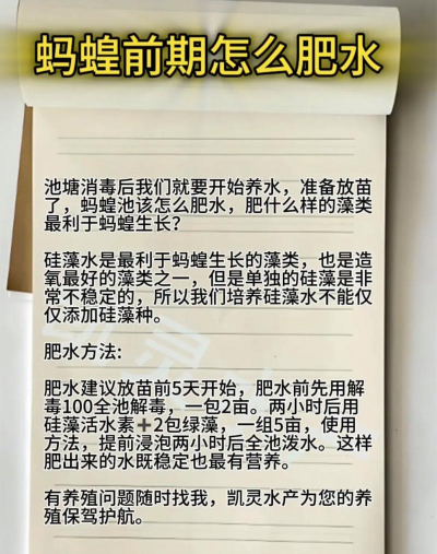 天门冬盆栽养殖方法，轻松上手，四季常绿