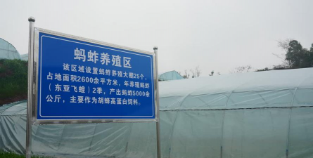 废油养花，家庭妙用，环保又省钱