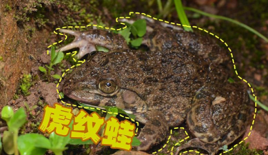 养殖场一平米赔偿多少，各地标准不同，关键看评估