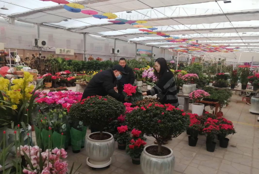 精养花鲢，掌握关键技巧，实现高效养殖