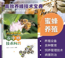 中蜂养殖技术大全，新手入门指南，常见问题解答