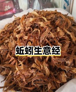 养殖蚯蚓卖给谁,找准销售渠道,实现稳定收益 养殖蚯蚓卖给谁,找准销售渠道,实现稳定收益