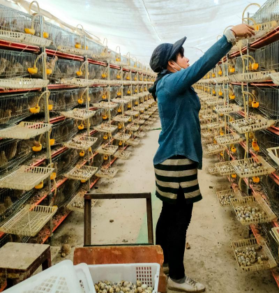 废油养花，家庭妙用，环保又省钱