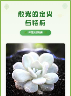 废油养花，家庭妙用，环保又省钱