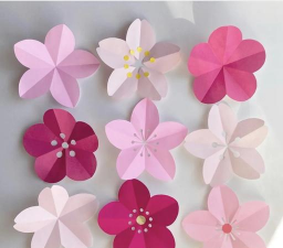 废油养花，家庭妙用，环保又省钱