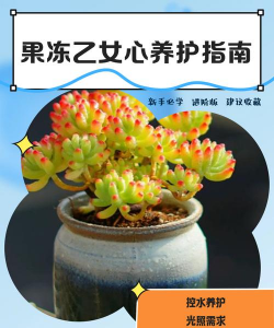 养花日记200字，记录生活点滴，分享种植乐趣