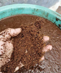 养花用的河沙，选对是关键，用错会伤根