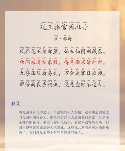 大缸养花，选对方法，轻松打造庭院美景