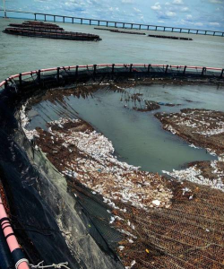 网箱养殖的危害,生态影响大,养殖户需警惕 网箱养殖的危害,生态影响大,养殖户需警惕