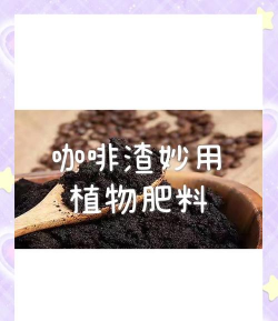 红虫室内养殖技术，掌握关键要点，实现稳定产出