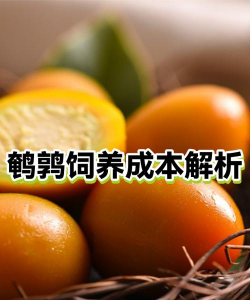 养花常见虫，识别与防治，轻松护花指南