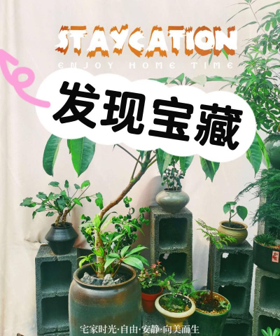 沈阳养花，气候特点，种植技巧