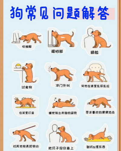 养花常见虫，识别与防治，轻松护花指南