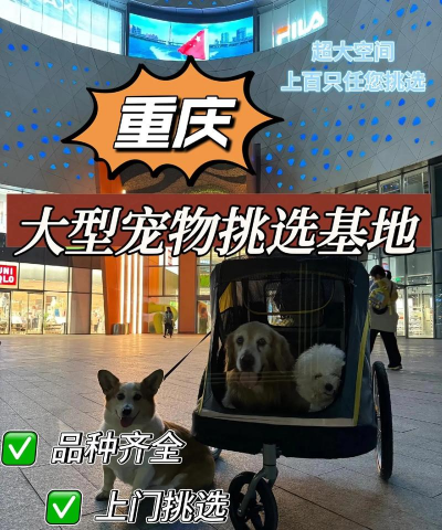 红虫室内养殖技术，掌握关键要点，实现稳定产出