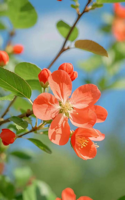 红虫室内养殖技术，掌握关键要点，实现稳定产出