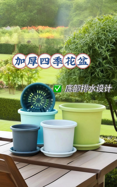 养花水盆,选对材质,注意排水 养花水盆,选对材质,注意排水