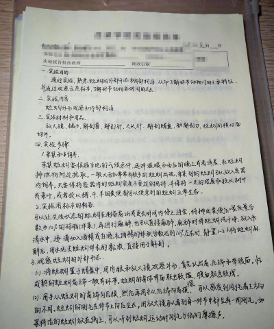 养花说课稿，教学重点解析，课堂互动设计